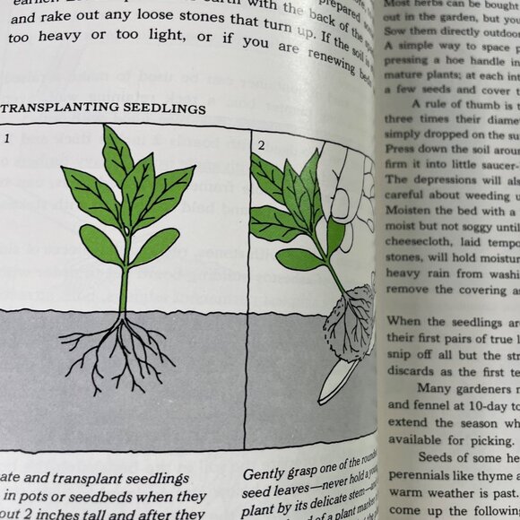Growing Herbs Time Life Encyclopedia of Gardening u 1977 How to Grow - Picture 10 of 11